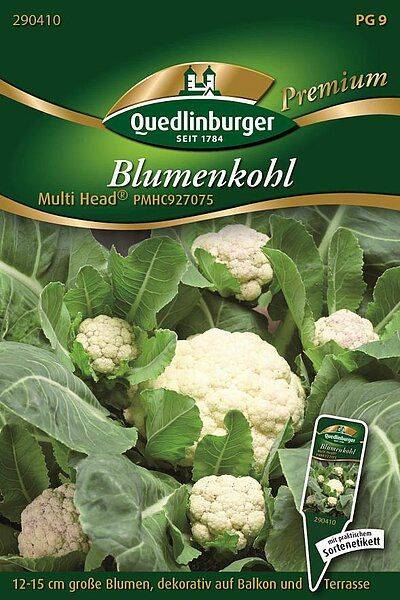 Blumenkohl Multi Head® PMHC927075