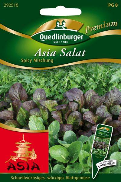 Asia Salat Spicy Mischung